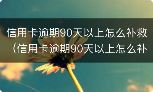 信用卡逾期90天以上怎么补救（信用卡逾期90天以上怎么补救呢）