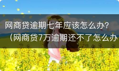 网商贷逾期七年应该怎么办？（网商贷7万逾期还不了怎么办）