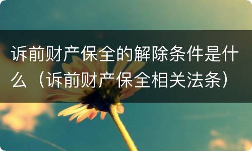 诉前财产保全的解除条件是什么（诉前财产保全相关法条）