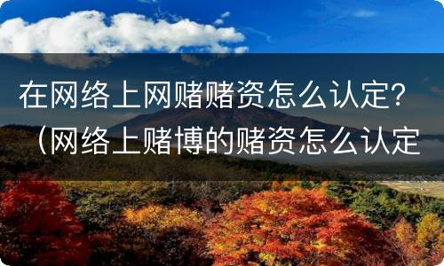 在网络上网赌赌资怎么认定？（网络上赌博的赌资怎么认定）