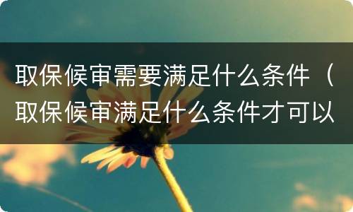 取保候审需要满足什么条件（取保候审满足什么条件才可以退）