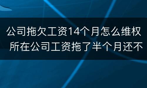 公司拖欠工资14个月怎么维权 所在公司工资拖了半个月还不发怎么办?