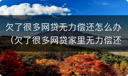 欠了很多网贷无力偿还怎么办（欠了很多网贷家里无力偿还怎么办）