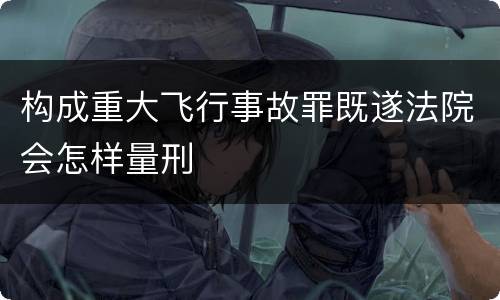 构成重大飞行事故罪既遂法院会怎样量刑