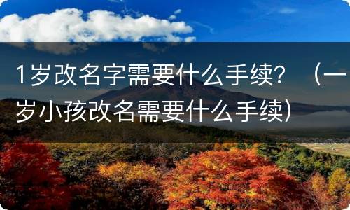 1岁改名字需要什么手续？（一岁小孩改名需要什么手续）