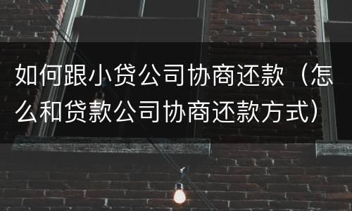 如何跟小贷公司协商还款（怎么和贷款公司协商还款方式）