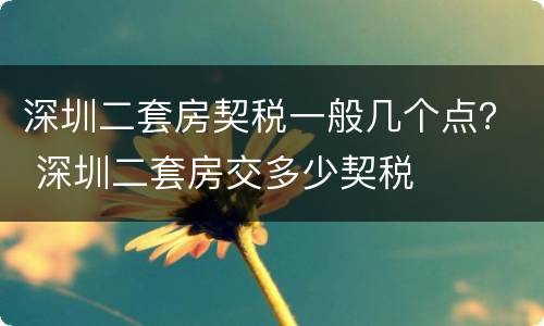 深圳二套房契税一般几个点？ 深圳二套房交多少契税