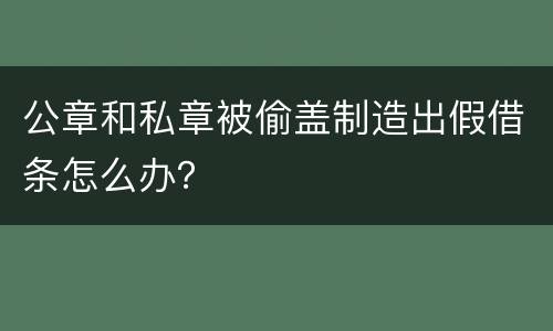 公章和私章被偷盖制造出假借条怎么办？