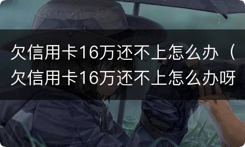 欠信用卡16万还不上怎么办（欠信用卡16万还不上怎么办呀）