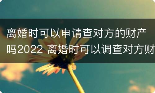 离婚时可以申请查对方的财产吗2022 离婚时可以调查对方财产吗
