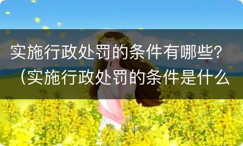 实施行政处罚的条件有哪些？（实施行政处罚的条件是什么）