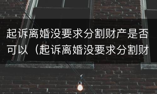 起诉离婚没要求分割财产是否可以（起诉离婚没要求分割财产是否可以起诉）