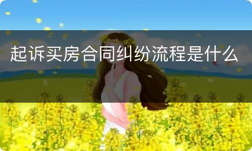 起诉买房合同纠纷流程是什么