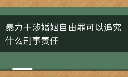 暴力干涉婚姻自由罪可以追究什么刑事责任