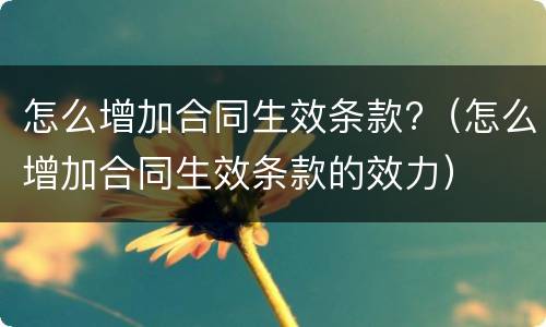 怎么增加合同生效条款?（怎么增加合同生效条款的效力）