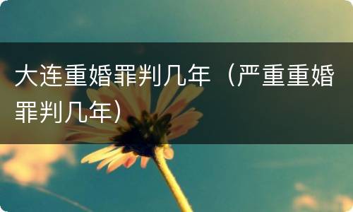 大连重婚罪判几年（严重重婚罪判几年）