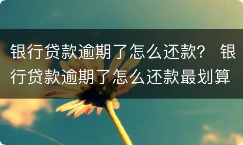 银行贷款逾期了怎么还款？ 银行贷款逾期了怎么还款最划算