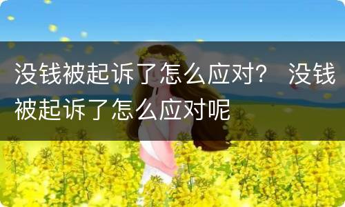 没钱被起诉了怎么应对？ 没钱被起诉了怎么应对呢