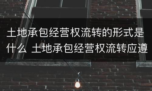 土地承包经营权流转的形式是什么 土地承包经营权流转应遵循的原则是什么?