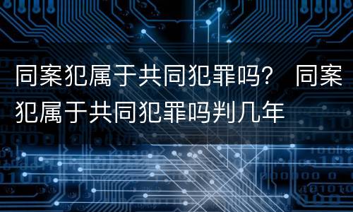 同案犯属于共同犯罪吗？ 同案犯属于共同犯罪吗判几年