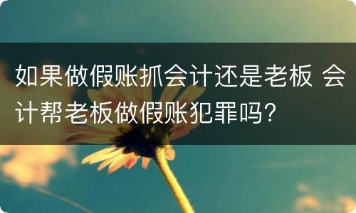 如果做假账抓会计还是老板 会计帮老板做假账犯罪吗?