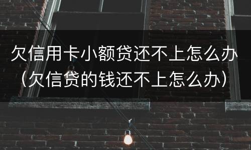 欠信用卡小额贷还不上怎么办（欠信贷的钱还不上怎么办）