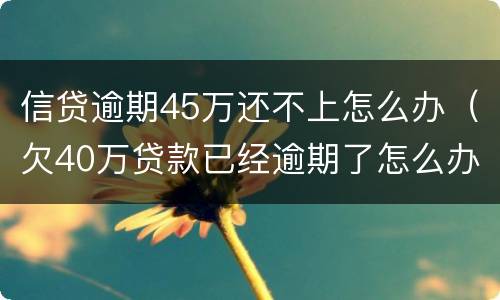 信贷逾期45万还不上怎么办（欠40万贷款已经逾期了怎么办?）