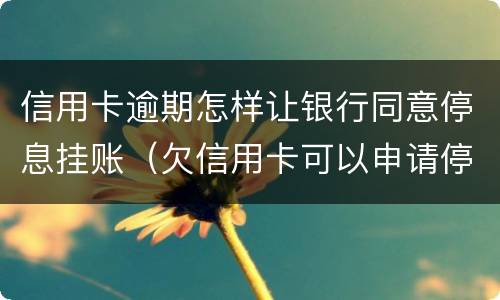 信用卡逾期怎样让银行同意停息挂账（欠信用卡可以申请停息挂账吗）