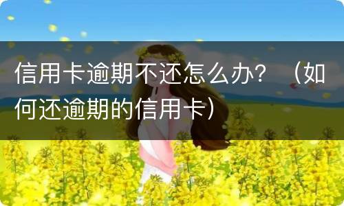 信用卡逾期不还怎么办？（如何还逾期的信用卡）