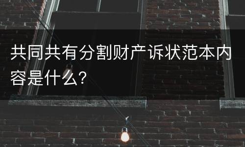 共同共有分割财产诉状范本内容是什么？