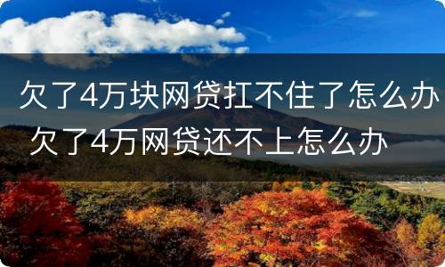 欠了4万块网贷扛不住了怎么办 欠了4万网贷还不上怎么办