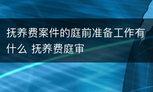 抚养费案件的庭前准备工作有什么 抚养费庭审