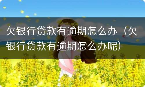 欠银行贷款有逾期怎么办（欠银行贷款有逾期怎么办呢）