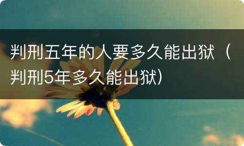 判刑五年的人要多久能出狱（判刑5年多久能出狱）