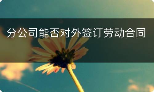 分公司能否对外签订劳动合同