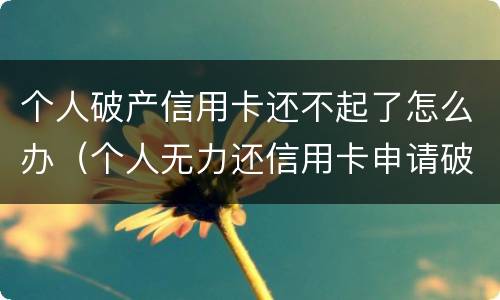 个人破产信用卡还不起了怎么办（个人无力还信用卡申请破产）