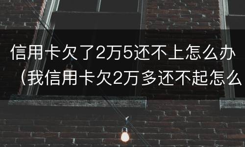 信用卡欠了2万5还不上怎么办（我信用卡欠2万多还不起怎么办）
