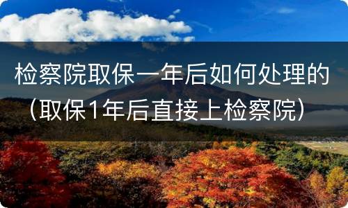 检察院取保一年后如何处理的（取保1年后直接上检察院）