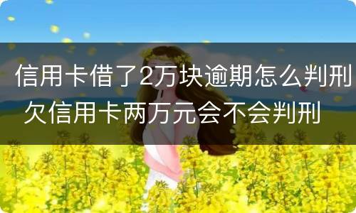 信用卡借了2万块逾期怎么判刑 欠信用卡两万元会不会判刑