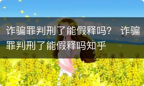 诈骗罪判刑了能假释吗？ 诈骗罪判刑了能假释吗知乎