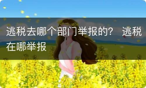 逃税去哪个部门举报的？ 逃税在哪举报