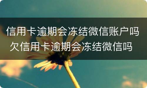 信用卡逾期会冻结微信账户吗 欠信用卡逾期会冻结微信吗