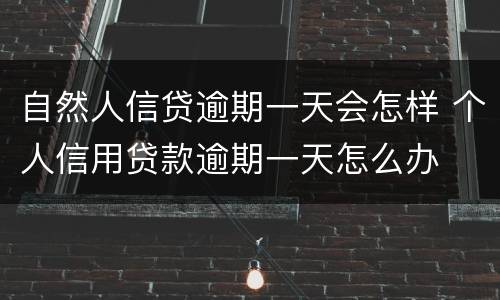 自然人信贷逾期一天会怎样 个人信用贷款逾期一天怎么办