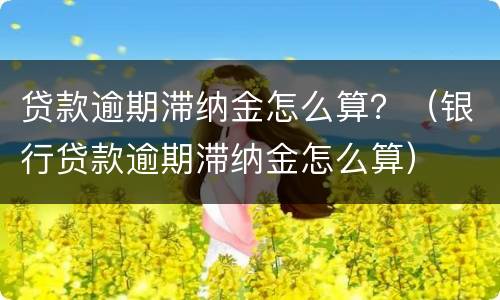 贷款逾期滞纳金怎么算？（银行贷款逾期滞纳金怎么算）