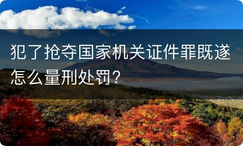 犯了抢夺国家机关证件罪既遂怎么量刑处罚?
