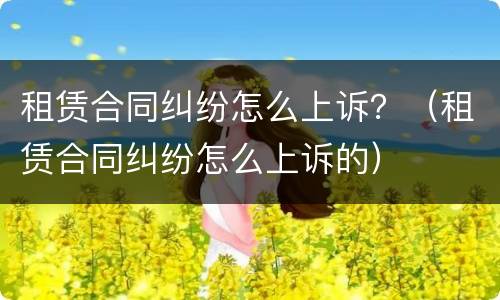 租赁合同纠纷怎么上诉？（租赁合同纠纷怎么上诉的）