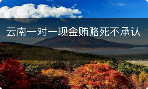 云南一对一现金贿赂死不承认