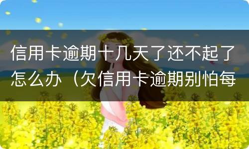 信用卡逾期十几天了还不起了怎么办（欠信用卡逾期别怕每月还十元）