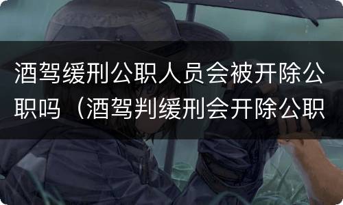 酒驾缓刑公职人员会被开除公职吗（酒驾判缓刑会开除公职吗）