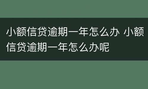 小额信贷逾期一年怎么办 小额信贷逾期一年怎么办呢